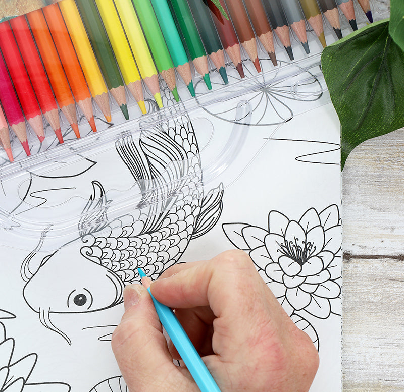 Blooms & Butterflies Coloring Book