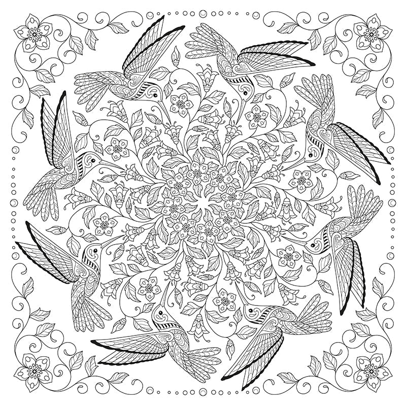 My Bird Mandala Coloring Book