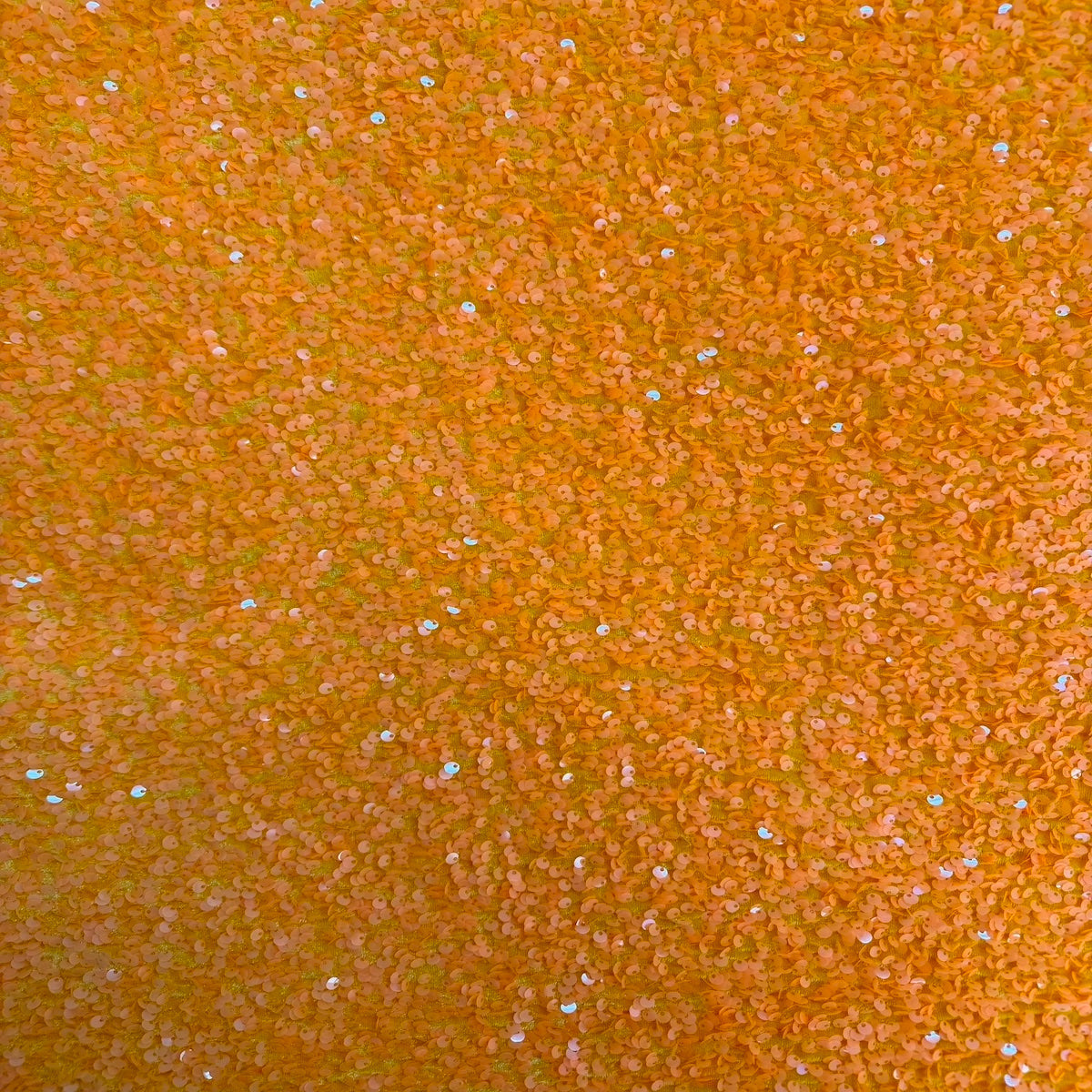 Sequins Embroidered Stretch Velvet Rodeo Fabric