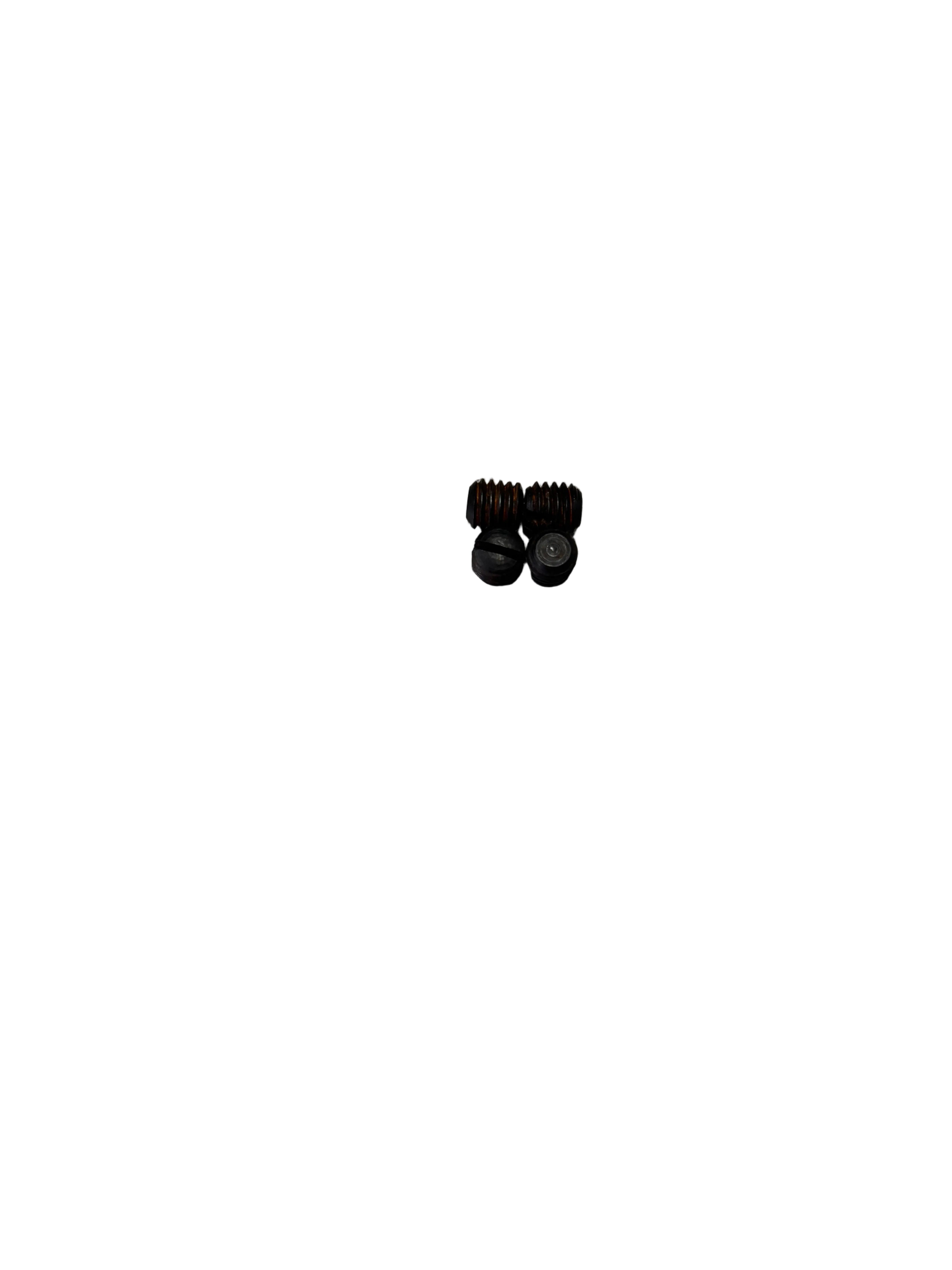 Screw #111225