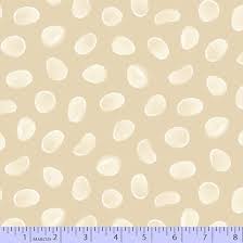 Shells - Sun Moments - Cream