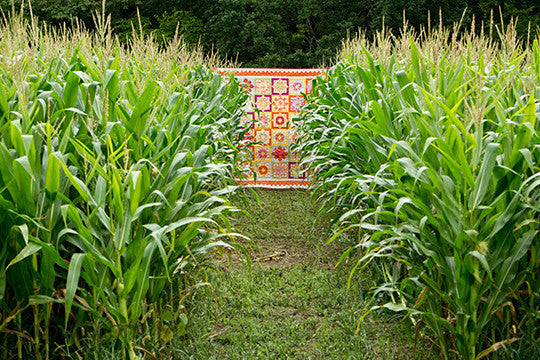 Country Girl Modern