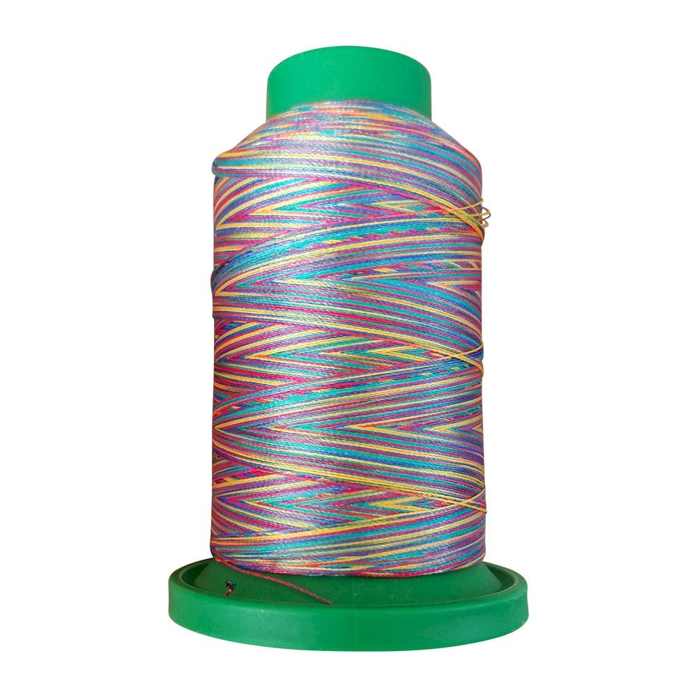 Isacord Polyester Embroidery Thread for Quilting –