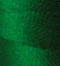 Floriani - PF0264 - Medium Green - 1000m
